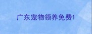 广东宠物领养免费