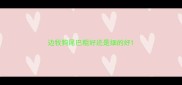 边牧狗尾巴粗好还是细的好