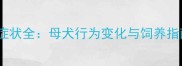 拉布拉多怀孕50天症状全母犬行为变化与饲养指南附高清图解