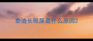 泰迪长眼屎是什么原因