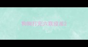 狗狗打完六联疫苗
