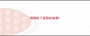 狗狗吃了变质的食物