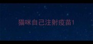 猫咪自己注射疫苗