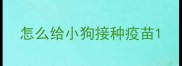 怎么给小狗接种疫苗