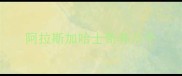 阿拉斯加哈士奇养八个