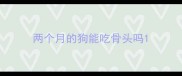 两个月的狗能吃骨头吗