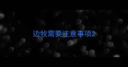 边牧需要注意事项