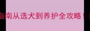 哈士奇纯种饲养指南从选犬到养护全攻略附健康省钱秘籍
