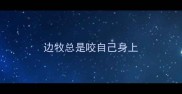 边牧总是咬自己身上