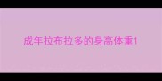 成年拉布拉多的身高体重