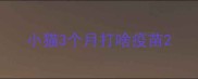 小猫3个月打啥疫苗