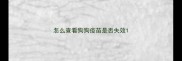 怎么查看狗狗疫苗是否失效