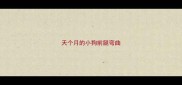 天个月的小狗前腿弯曲