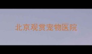 北京观赏宠物医院