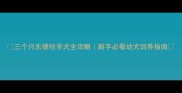 三个月东德牧羊犬全攻略新手必看幼犬饲养指南
