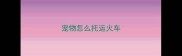 宠物怎么托运火车