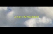 几天的小狗可以剪指甲