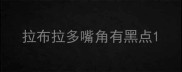 拉布拉多嘴角有黑点