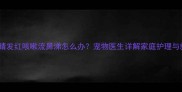 金毛犬眼睛发红咳嗽流鼻涕怎么办宠物医生详解家庭护理与就医指南