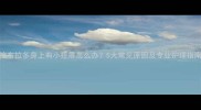 拉布拉多身上有小疙瘩怎么办5大常见原因及专业护理指南