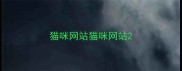 猫咪网站猫咪网站