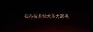 拉布拉多幼犬多大退毛