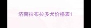 济南拉布拉多犬价格表