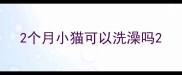2个月小猫可以洗澡吗