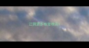 江阴派多格宠物店