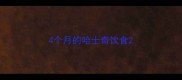 4个月的哈士奇饮食