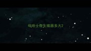 母哈士奇生殖器多大