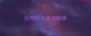 拉布拉多睡觉眼睛