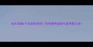 幼犬幼猫6个月能吃肉吗科学喂养指南与营养配比全