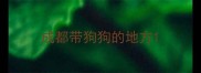 成都带狗狗的地方