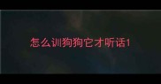 怎么训狗狗它才听话