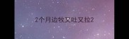 2个月边牧又吐又拉