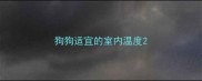 狗狗适宜的室内温度