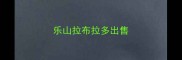 乐山拉布拉多出售