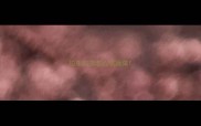拉布拉多怎么吃蔬菜