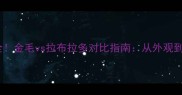 全网最全金毛vs拉布拉多对比指南从外观到性格全