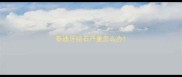 泰迪牙结石严重怎么办
