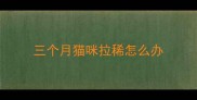 三个月猫咪拉稀怎么办