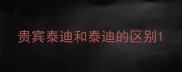贵宾泰迪和泰迪的区别