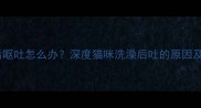 猫咪洗澡后呕吐怎么办深度猫咪洗澡后吐的原因及应对措施