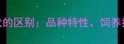 哈士奇与雪橇犬的区别品种特性饲养指南及养护要点