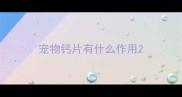 宠物钙片有什么作用