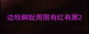 边牧脚趾周围有红有黑