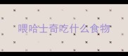 喂哈士奇吃什么食物