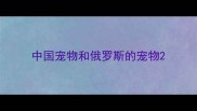 中国宠物和俄罗斯的宠物