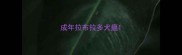 成年拉布拉多犬瘟